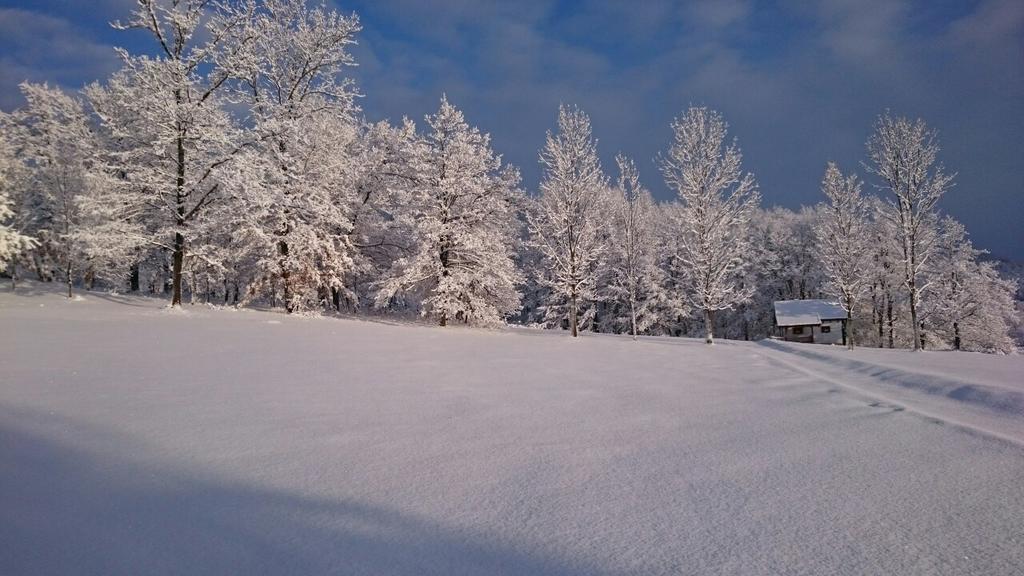Farm Stay Cardaklije คูเลนวาคูฟ ภายนอก รูปภาพ