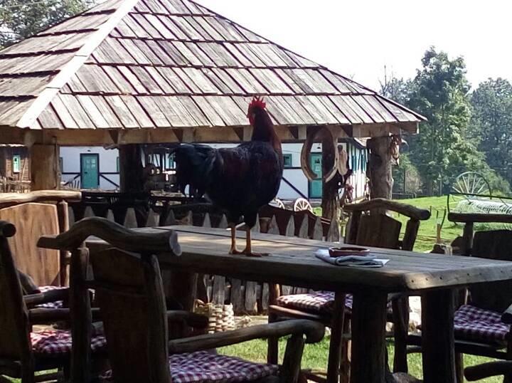 Farm Stay Cardaklije คูเลนวาคูฟ ภายนอก รูปภาพ